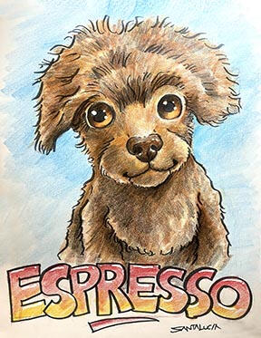 Caricature Pets Caricatures Montreal
